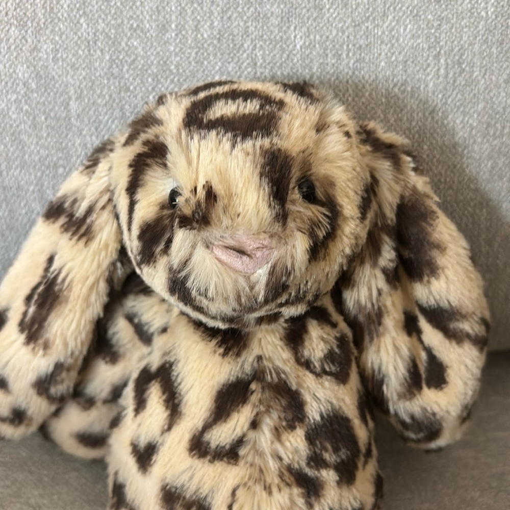 Special Edition Bashful Dixie Bunny NO TAGS - Picture 5 of 6